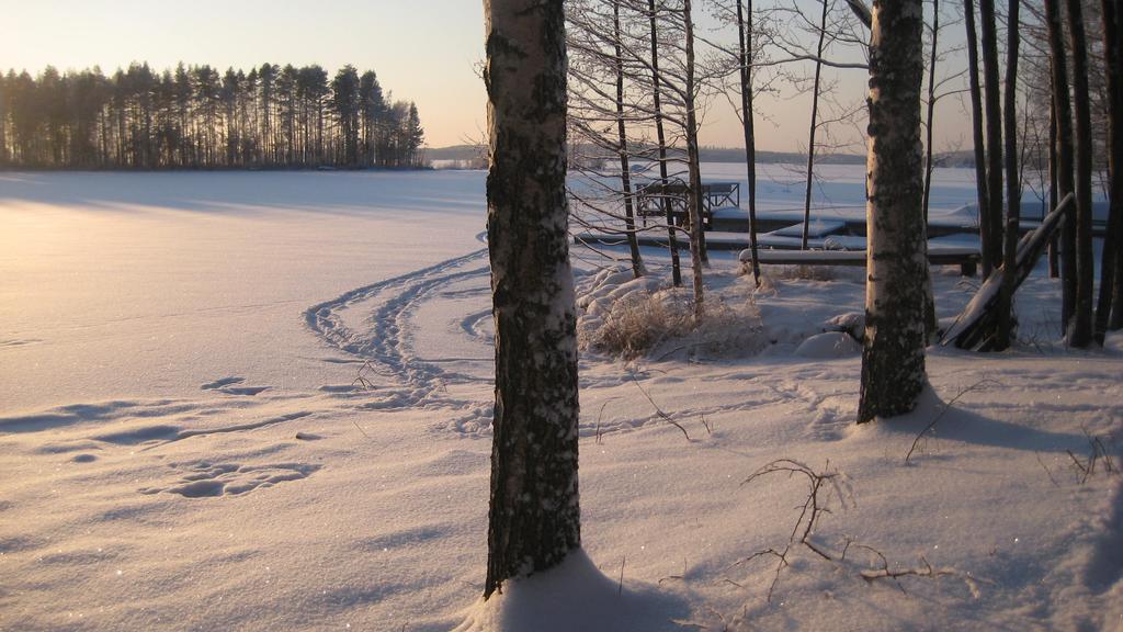 Nestorinranta Resort Lintusalo Buitenkant foto