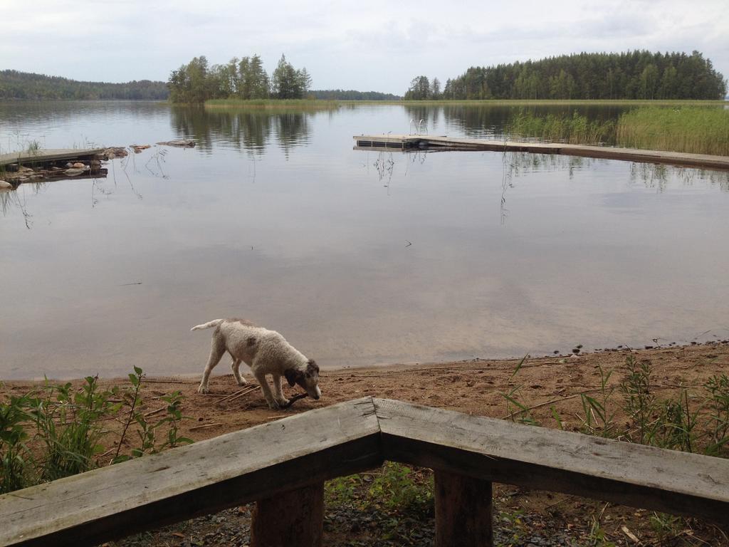 Nestorinranta Resort Lintusalo Buitenkant foto